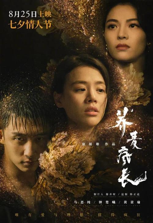 马尔代夫护照电子版怎么买假的